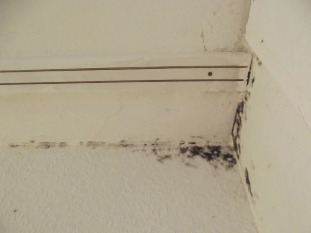 Technician in protective gear removing a mold-damaged wall in a Morgan home